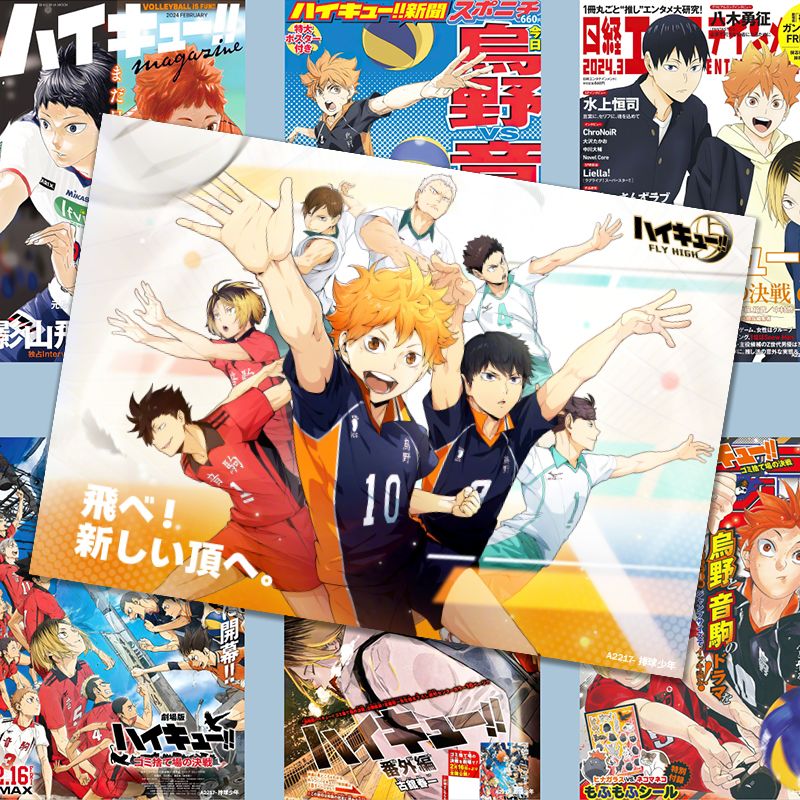 하이큐!! 포스터, 애니메이션 스타일의 히나타 쇼요 상 - Anime Merchandise Haikyuu 리뷰 및 가격