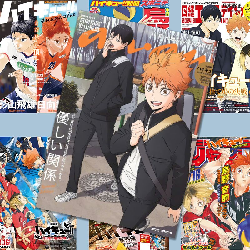 하이큐!! 포스터, 애니메이션 스타일의 히나타 쇼요 상 - Anime Merchandise Haikyuu 리뷰 및 가격