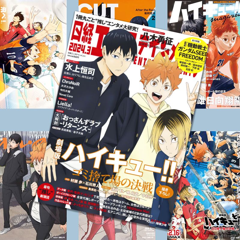 하이큐!! 포스터, 애니메이션 스타일의 히나타 쇼요 상 - Anime Merchandise Haikyuu 리뷰 및 가격