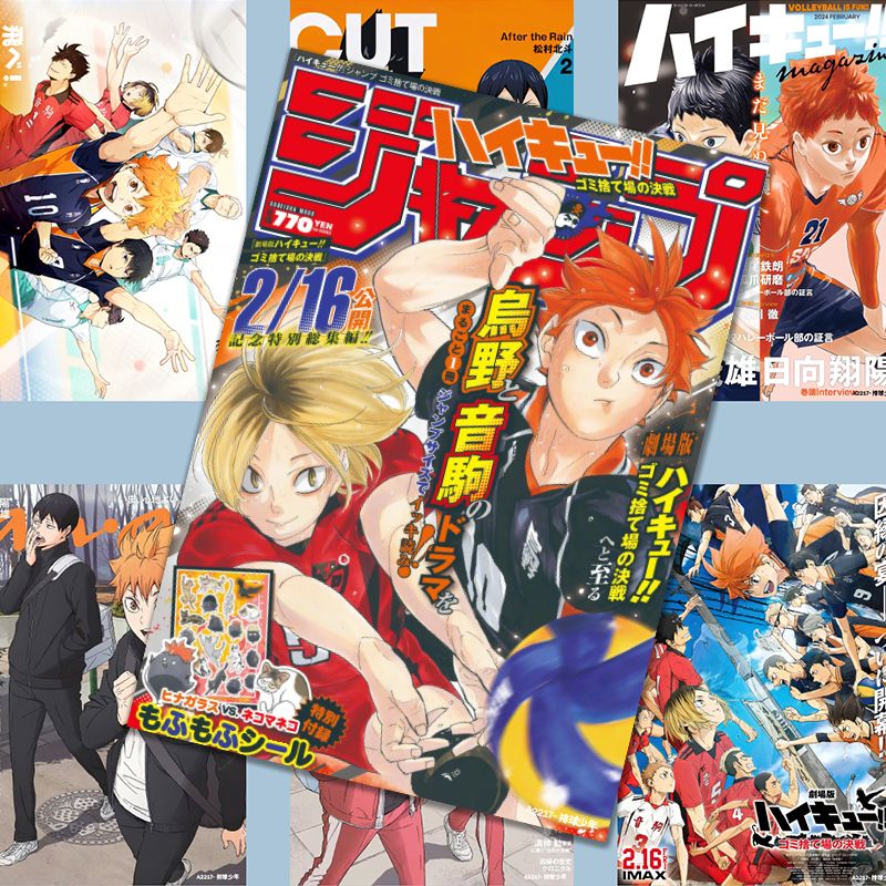 하이큐!! 포스터, 애니메이션 스타일의 히나타 쇼요 상 - Anime Merchandise Haikyuu 리뷰 및 가격
